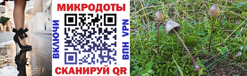 Галлюциногенные грибы MAGIC MUSHROOMS  купить наркотик  blacksprut tor  Ужур 